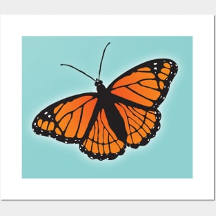 Viceroy butterfly Posters and Art